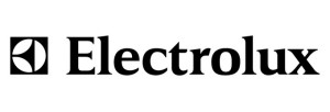 История успеха компании Aeg-electrolux.
