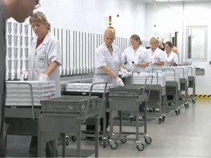 braun_proizvodctvo.jpg